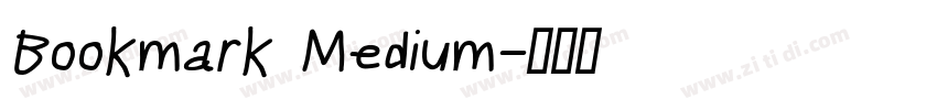 Bookmark Medium字体转换